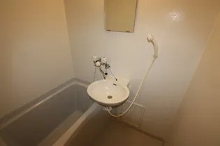 レオパレスワイドフォレスト【205号室】の風呂