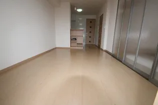 パークサウス【202号室】の内装