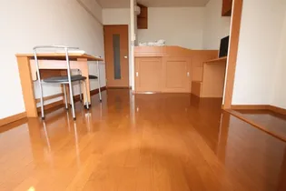 レオパレスTAKESHIRO【109号室】の居間