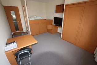 レオパレスTAKESHIRO【206号室】の居間