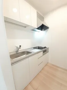 スカイメゾン【202号室】のキッチン