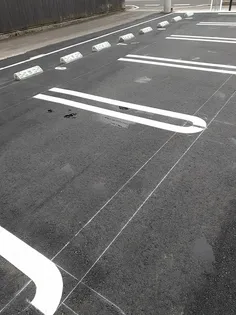 スカイメゾン【202号室】のその他画像