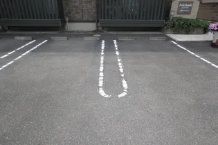 パークサウス【203号室】の周辺