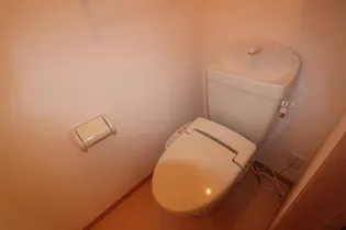 パークサウス【203号室】のその他画像