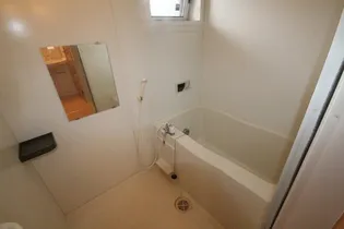 パークサウス【203号室】の風呂