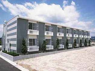 レオパレスカサペルデ【0205号室】の外観