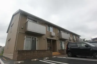 セントーレアの画像