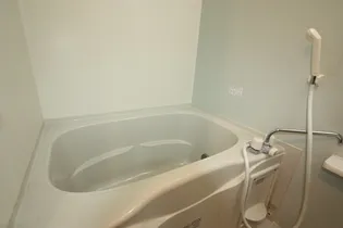 カーサフェリーチェC【202号室】の風呂