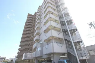 コスモス南蔵王の画像