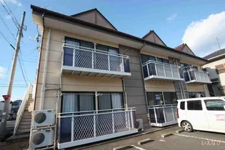 パンプキンBの画像