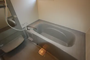 アヴァンティ・ラルバ【102号室】の風呂