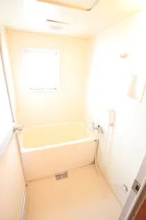 パルコ長和島【0406号室】の風呂