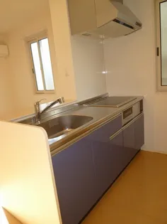 ディアコートASKA【101号室】のキッチン