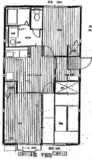 シティハイムアルペジオ【202号室】の間取り