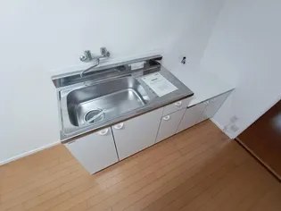 アイシンコーポ加納【305号室】のキッチン