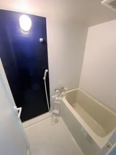 AINA(アイナ)【301号室】の風呂