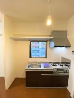 AINA(アイナ)【301号室】のキッチン