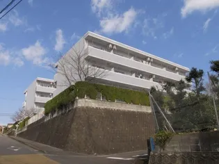 サンライズカワサキ【A303号室】の外観