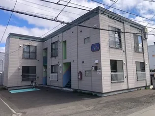 ミズノキングハウス【206号室】の外観