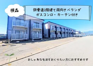 ヒューマンシティ【208号室】の外観