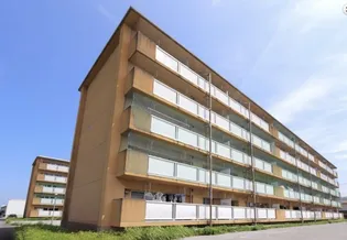 Vellegehouse寿古Ⅲ【302号室】の間取り