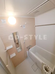 LAVA TOWER(ラヴァタワー)【304号室】の風呂