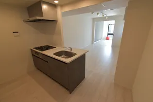 SPコート池袋【0205号室】のキッチン