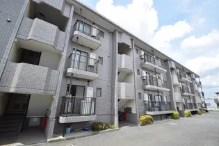 ヴェルドミールの画像