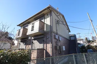 セジュールヒノキの画像