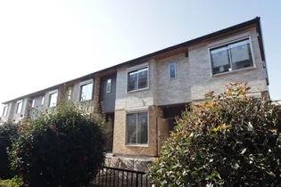 シュタイン フルスの画像