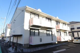 シルキーBの画像