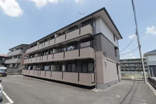 ハイカムールの画像