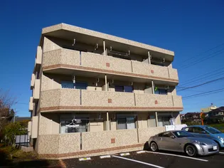 マルベリーの画像