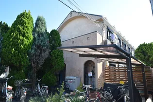 ラファエロの画像