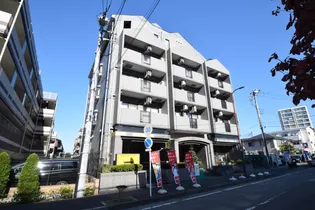 スアイナーカーウの画像