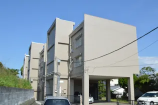 大平コーポ【135号室】の外観