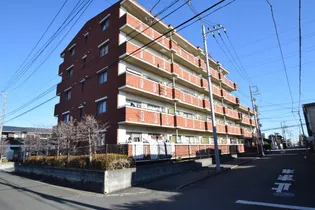 カ アンジェリの画像