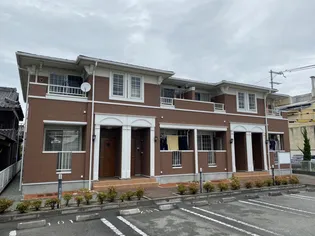 ティエラ アサヒの画像