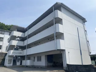 ロイヤルヒルズ北平野【4階】の外観