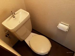 白楊荘【B15号室】の内装