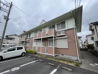 シャロムの画像