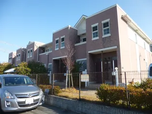 パルマリィの画像