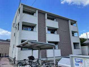 サンフラワーの画像