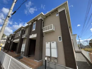 プリムローズの画像