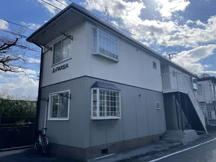 ハイネスS Aの画像