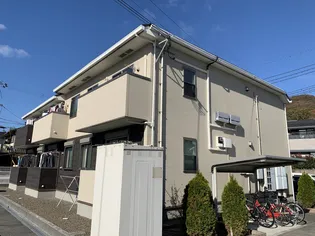 ベイローレルの画像