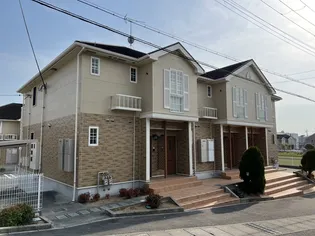 グラツィアAの画像