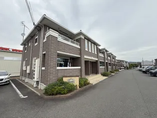 ストリート秋桜Ⅱの画像