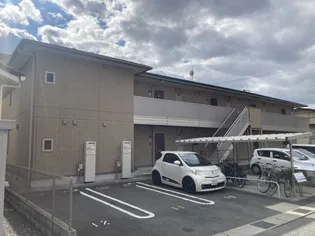 ララしらはまの画像