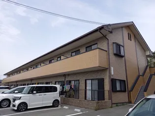 プレイン野里の画像